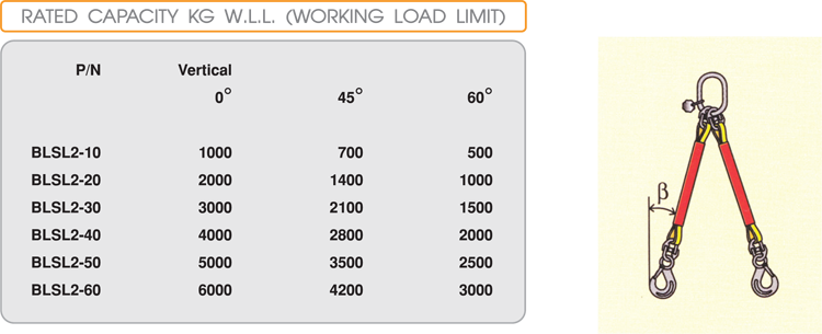 What is Rated Capacity and Working Load Limit?